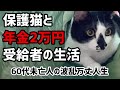 【60代一人暮らし】保護猫と年金2万円受給者の生活【シニアVlog】