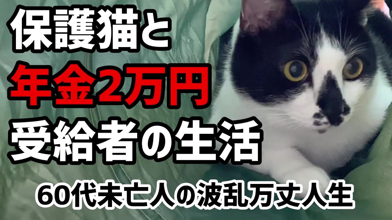 【60代一人暮らし】保護猫と年金2万円受給者の生活【シニアVlog】