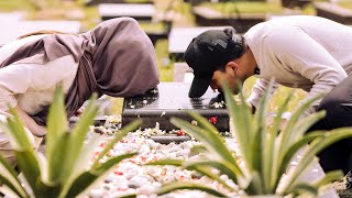 Ijin Nikah Thoriq ke Almarhum Om Adjie Massaid