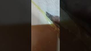 how do you scrape off old caulk #GodBlessu