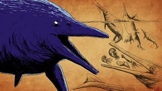 Shonisaurus Was Built Different Pam 36