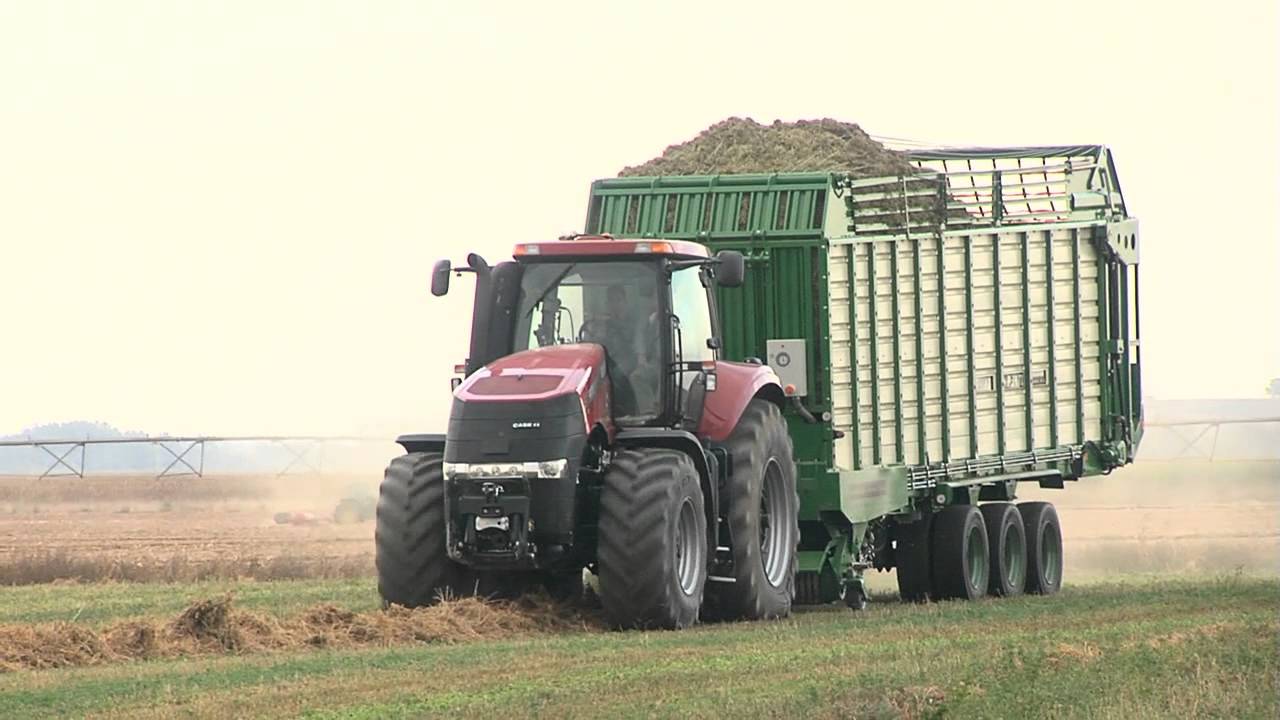 MASTER industrias lacasta