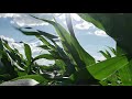 Chris Janson - Who's Your Farmer (Visualizer)