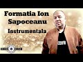 Formatia ❌ Ion Sapoceanu ❌ Instrumentala