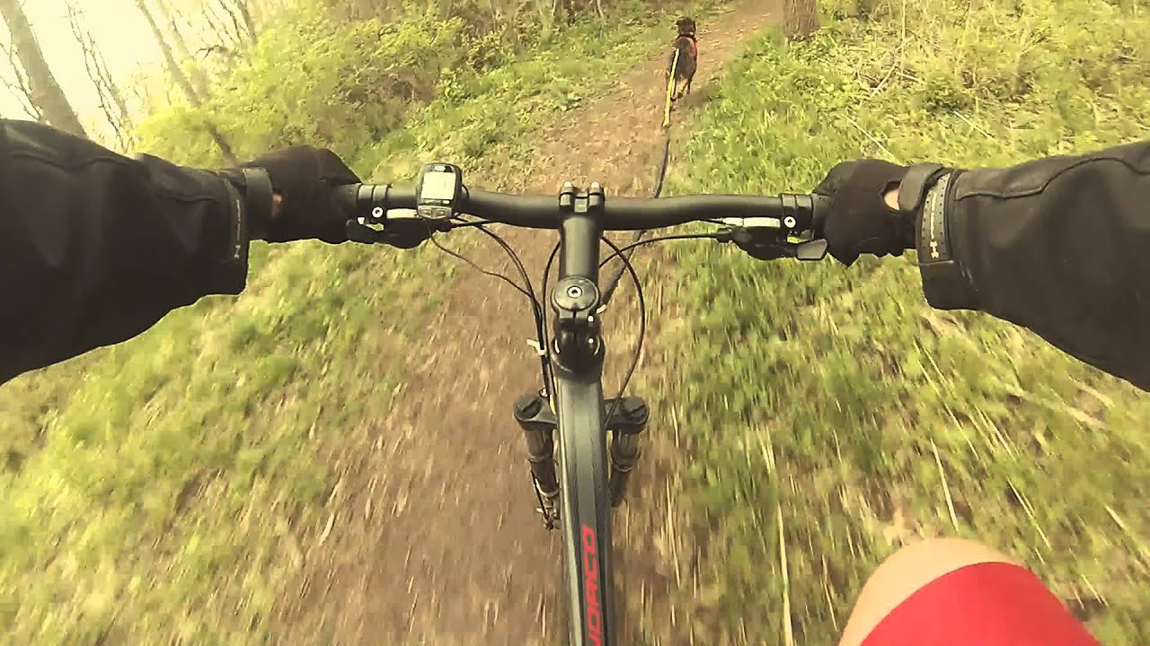 Bikejoring YouTube