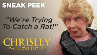 Chrisley Knows Best | Sneak Peek: Nanny Faye Is Cat Lady | Season 7 Episode 2