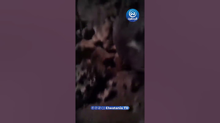 وهران: اكتشاف مغارة طبيعية في حي أحمد زبانة مسرغين أثناء عملية حفر لتهيئة الموقع لبناء مدرسة