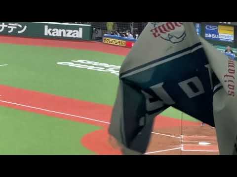 2023 開幕戦 ライオンズ応援歌『Flag to Victory』(27,465人 超満員札止め)