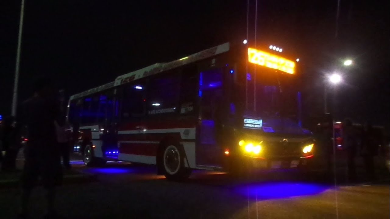 Club Famosos de Bs. As. - 25° Expo (Tablada, Diciembre 2017) [parte 4/4]