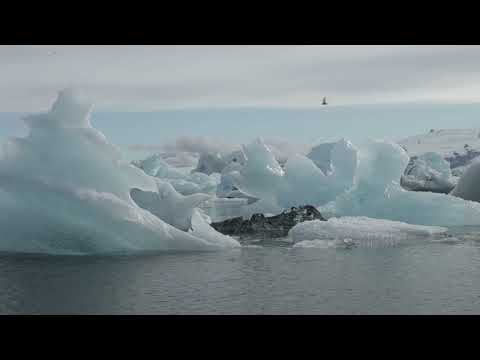 Video: Ištirpęs Okjökull Ledynas Gauna Plokštelę