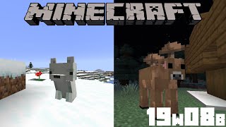 THE RARE ARCTIC FOX AND BROWN MOOSHROOM