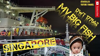 Mv.big Fish Imo 9284295, Mmsi 636019662 Is A Bulk Carrier Built In 2004.Dwt 177662