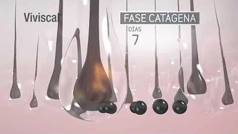 Como saber minha fase Anagena?