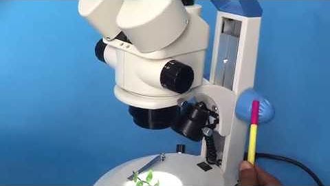 video bio technology stereo zoom trinocular microscope working abron01@gmail com