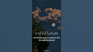 جمال وهدوء غير عادى |رعد الكردى|😌💙من سورة ص "اصبر علي ما يقولون"🎧🎙️