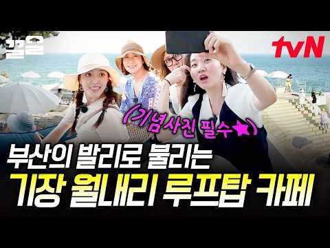 .♥ 진짜 해외여행 온 듯한 부산 오션뷰 <strong>루프탑</strong> 카페 ㄷㄷ | 주말사용설명서