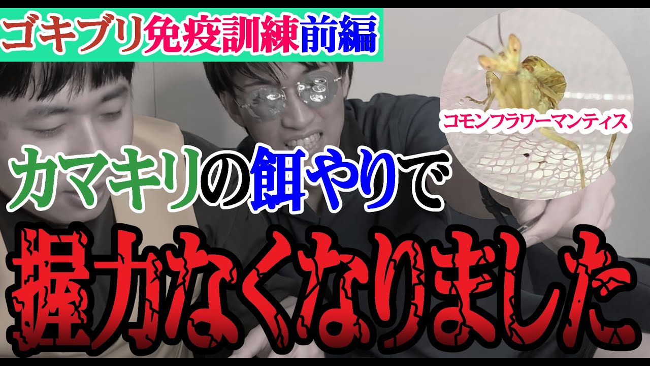 【ゴキ訓練前編】カマキリの餌やりでスタンダップコーギー三森が大ピンチ　昆虫ハウス１０１号室