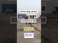 army dog center#okara#03005654528#khojy dog center#okara
