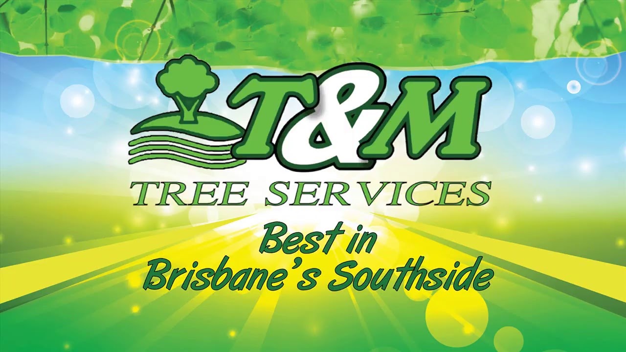 Tree Loppers Sunnybank Hills Brisbane Right Here Tree Loppers Sunnybank