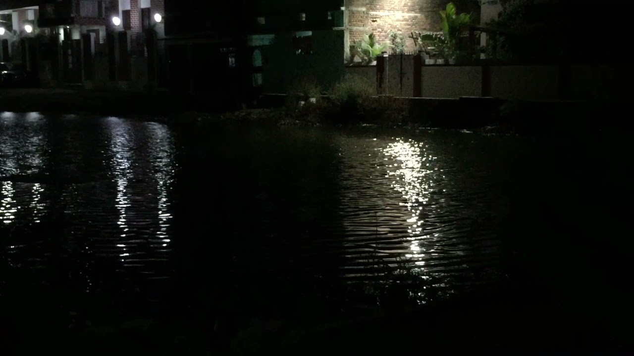 Night View from my Main Gate | PeaceQuest