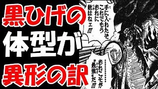 動画 ワンピース考察 黒ひげ が異形な訳 その構造の秘密 動画でマンガ考察 ネタバレや考察 伏線 最新話の予想 感想集めました