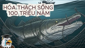 Nếu Bạn Là Cuộc Đời Của Cá Sấu Hỏa Tiễn: HÓA THẠCH SỐNG 100 TRIỆU NĂM