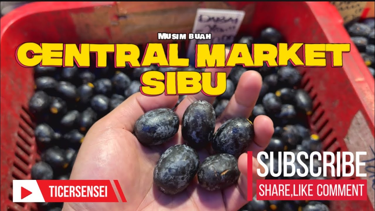 Musim buah di Sibu!