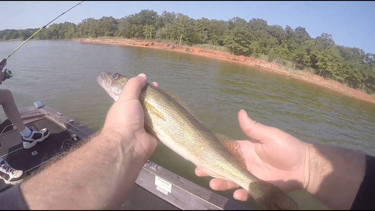 Saugeye fishing at Lake Thunderbird YouTube
