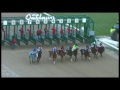 Sunday, Jan 17 - $100,000 2016 Pippin Stakes