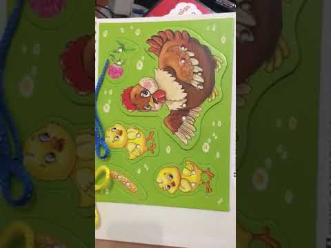 «О братьях наших меньших»