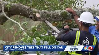 City of Orlando removes tree after it fell on a car