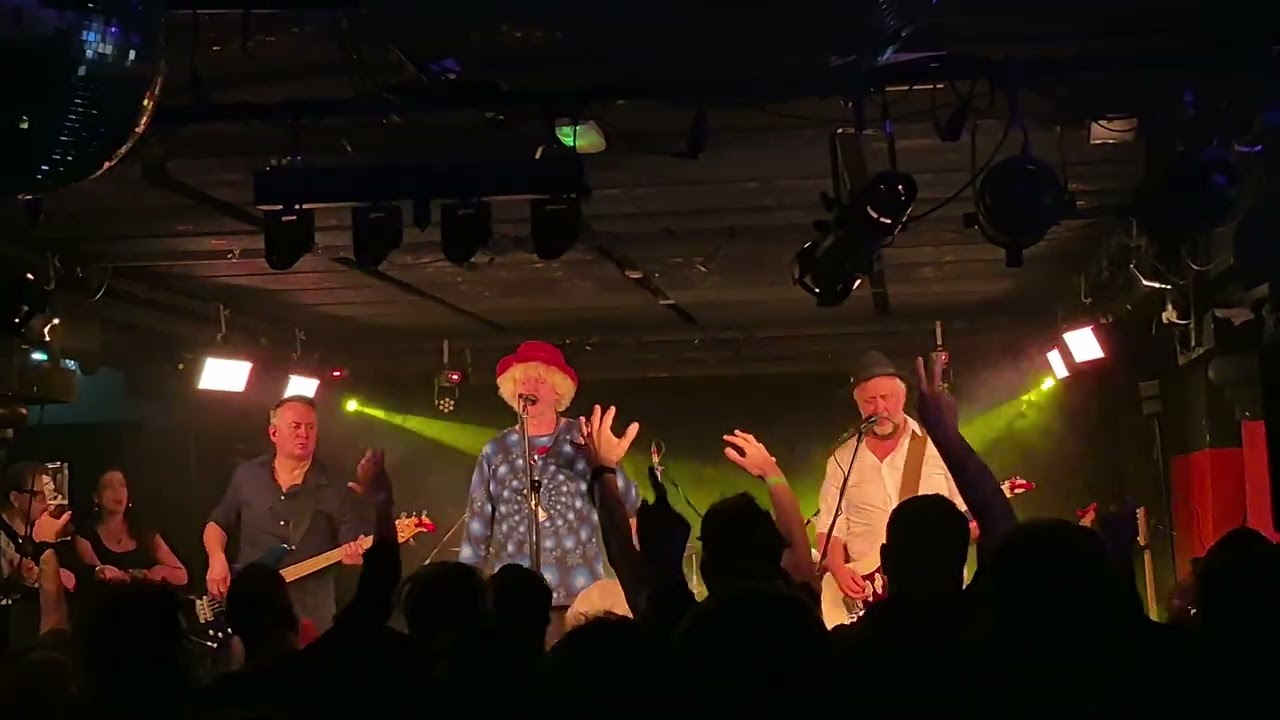 Sziámi: Előrelátó csecsemő