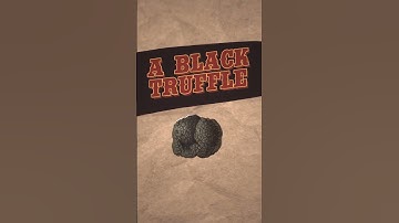 Why Real Truffles Are So Expensive