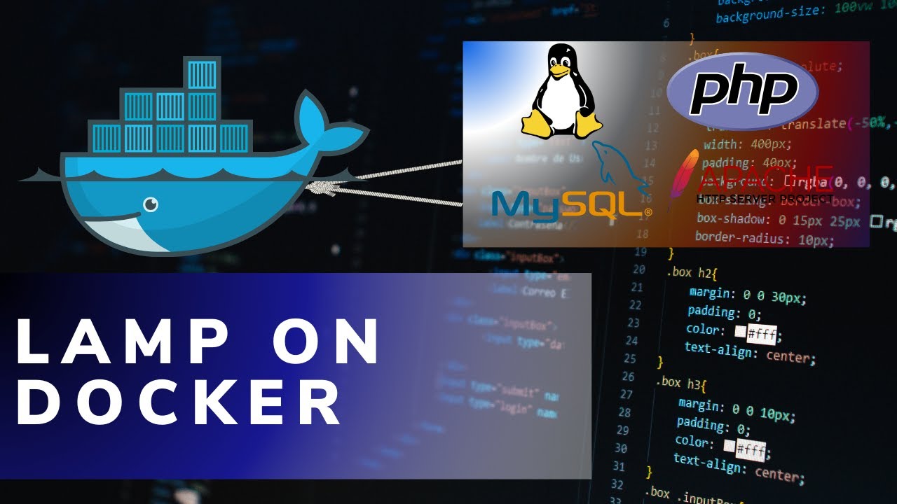 Deploy Website (LAMP) Dengan Nginx Proxy Manager & Docker - YouTube