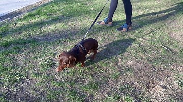 Bruce plays Engage Disengage