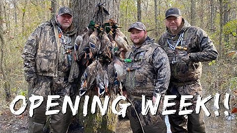 Hunting Ducks In Arkansas Opening Week!! | Into The Woods With Rusty Creasey