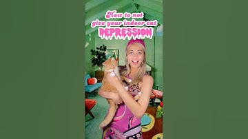 How to keep your cat happy! 🐈 #cat #catlover #cathacks #angemariano #catfurniture #cats #pets