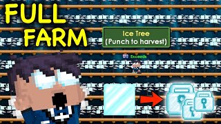 FULL FARM ICE PROFIT ! UNDERRATED FARMABLE IN GROWTOPIA ? | Growtopia