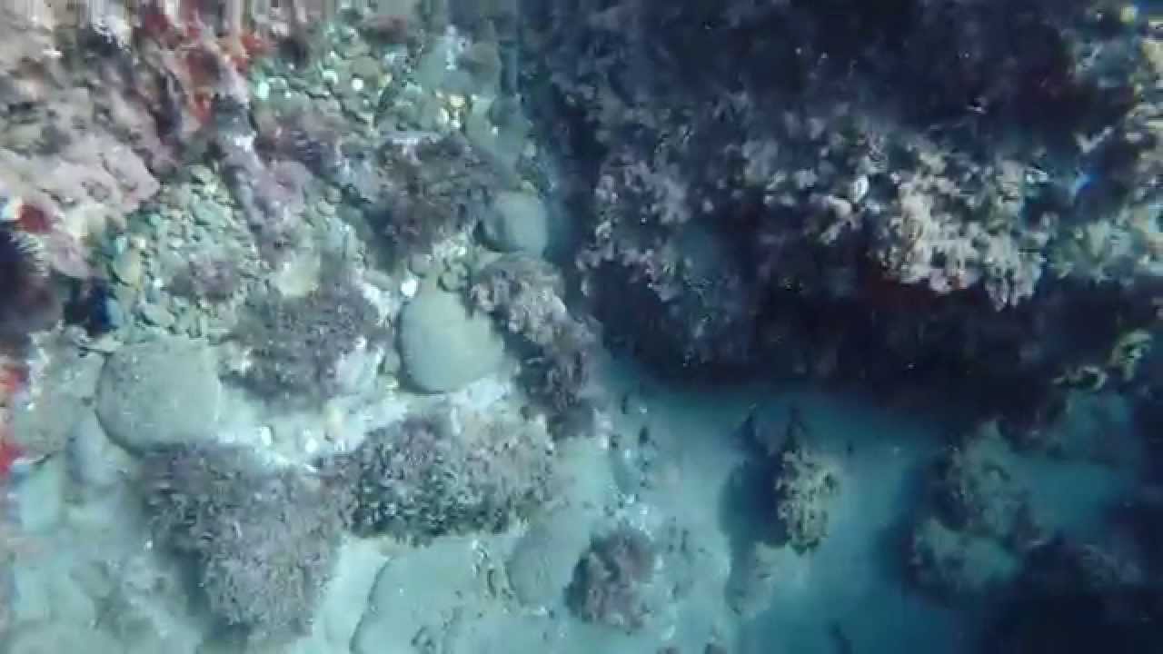 cala las sirenas cabo de gata