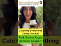 This Ocean Superfood No One Knows About - Supports Immunity. #supplements #immunitybooster #fypシ