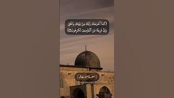 ﴿ أُولَٰئِكَ هُمُ الْمُؤْمِنُونَ حَقًّا ۚلَّهُمْ دَرَجَاتٌ﴾سورة : الأنفال - Al-Anfal #المنشاوي 🌴