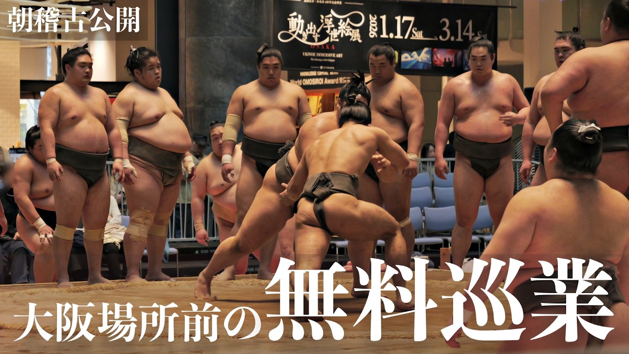 【巡業 うめきた場所】朝稽古も見られる無料巡業 初めてでも見やすい内容【大相撲 sumo】