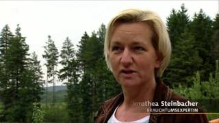 Pfingstochs Und Pfingstlümmel - Brauchtum In Lintach