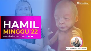 Week 22- Pregnancy Week by Week