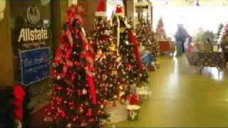 Festival of Trees