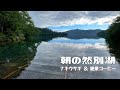【静かにのんびり動画】ナキウサギに会えるスポット＆絶景を見ながらモーニングコーヒー｜然別エリア