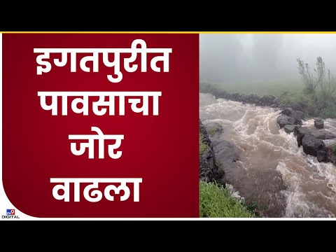 Nashik Rain Update | इगतपुरीसह तालुक्यात पावसाचा जोर वाढला, हवेत पसरला गोठवणारा गारवा- tv9