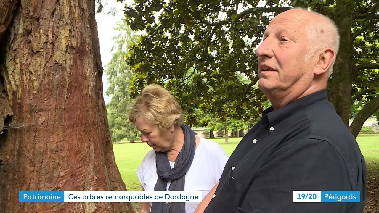 Les arbres remarquables de Dordogne