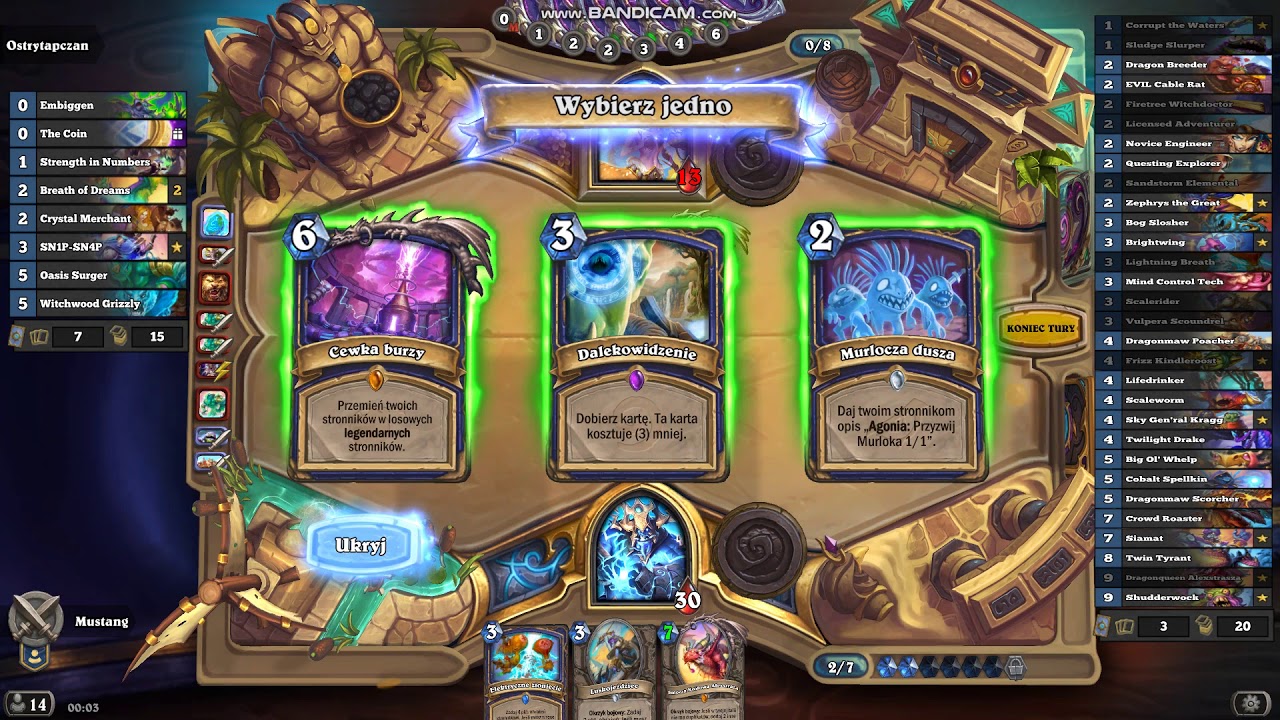 Shaman vs Druid Hearthstone YouTube