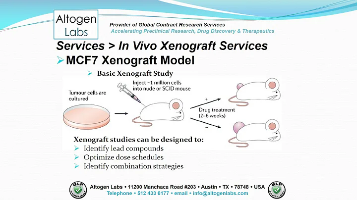 Altogen Labs MCF7 Xenograft Service Breast Cancer